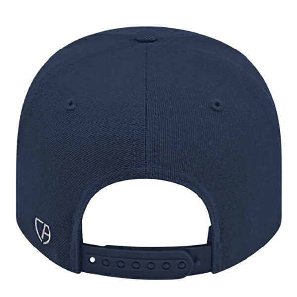 Team 5099 Structured Cap back